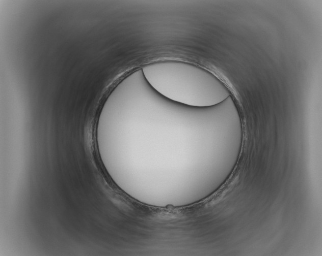 X0000112840386200908211003