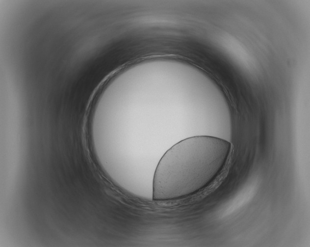 X0000112840387200908211003