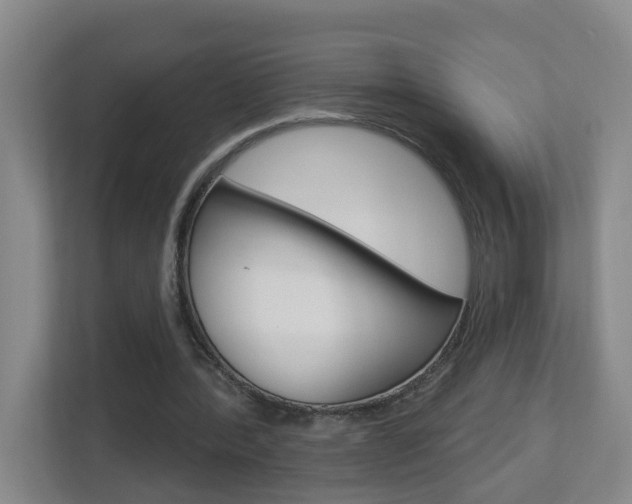 X0000112840388200908211003