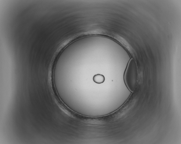 X0000112840389200908211003
