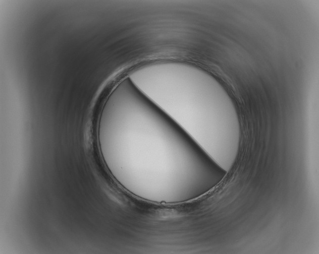 X0000112840392200908211003