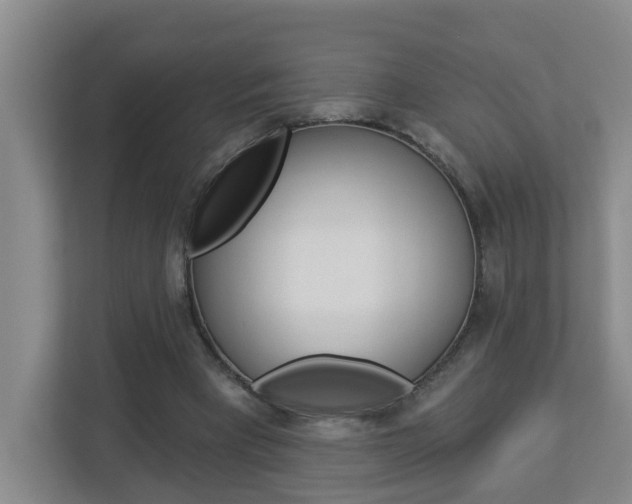 X0000112840393200908211003