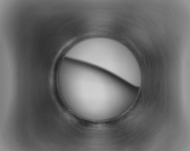 X0000112840396200908211003