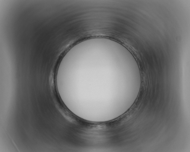 X0000112840398200908211003