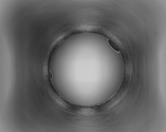 X0000112840399200908211003