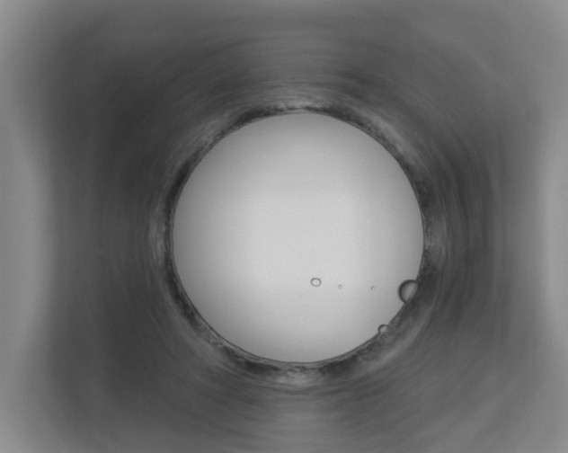 X0000112840402200908211003