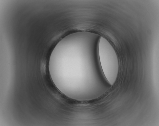 X0000112840404200908211003