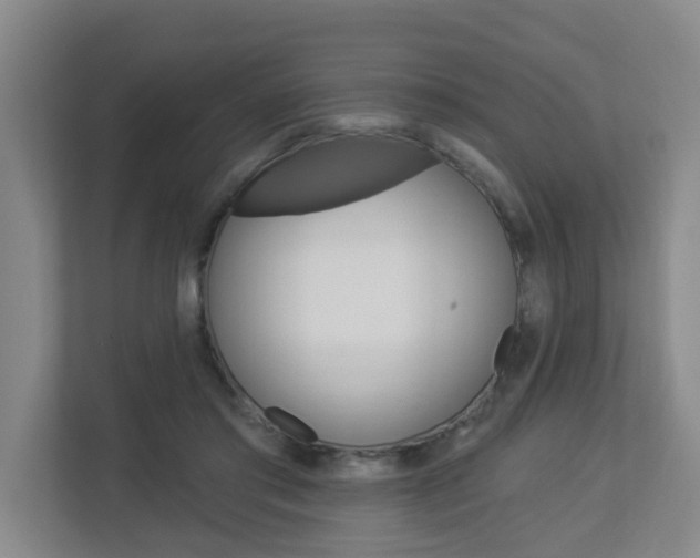 X0000112840405200908211003