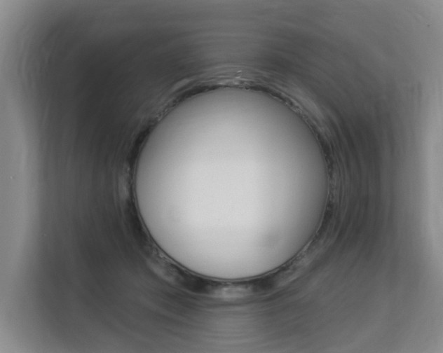 X0000112840413200908211003