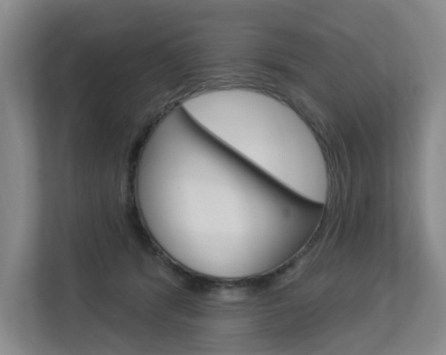 X0000112840416200908211003