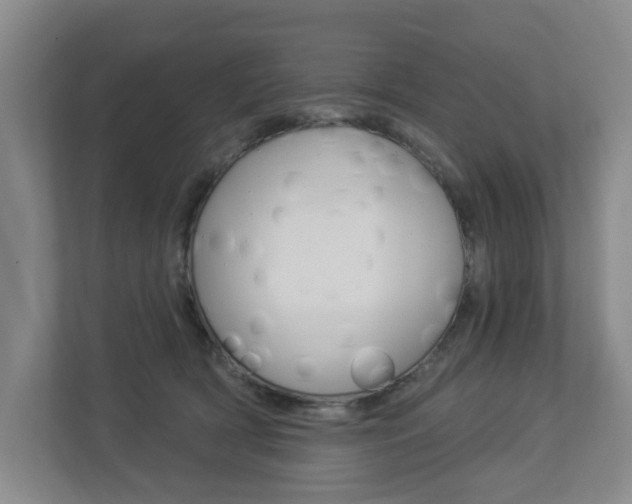 X0000112840418200908211003