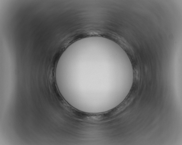 X0000112840422200908211002