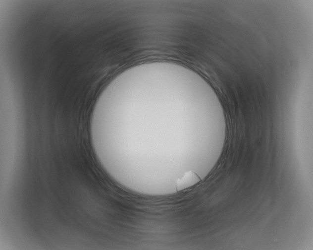 X0000112840423200908211002