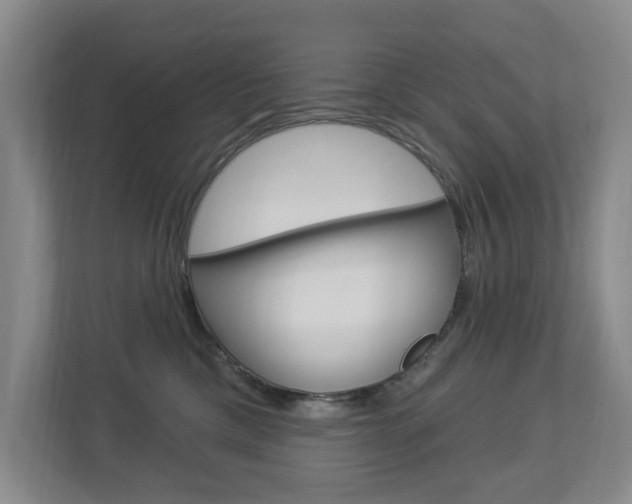 X0000112840425200908211002