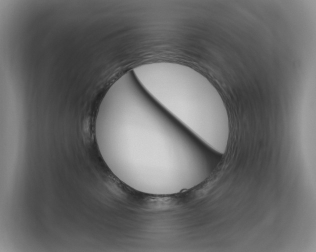 X0000112840428200908211002