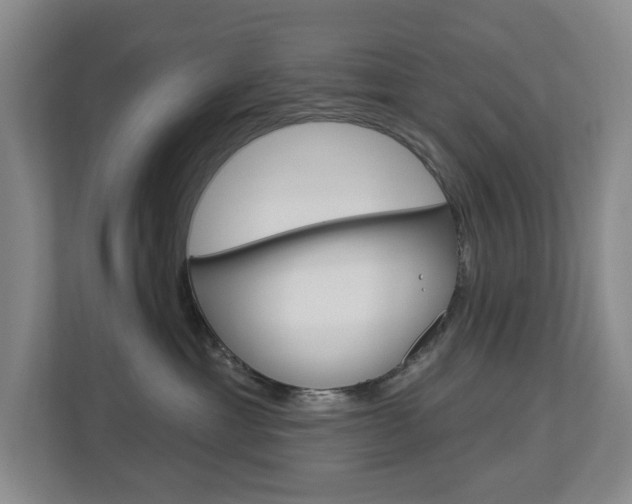 X0000112840429200908211002