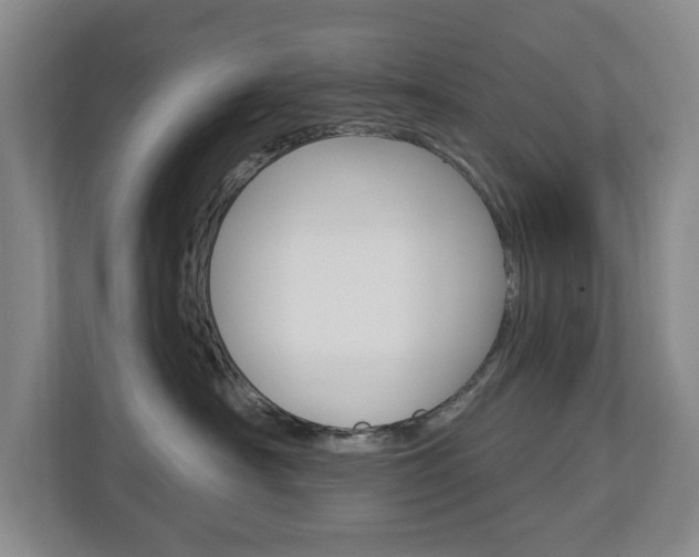 X0000112840430200908211002