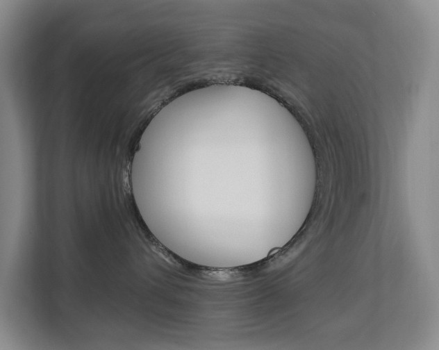 X0000112840432200908211002