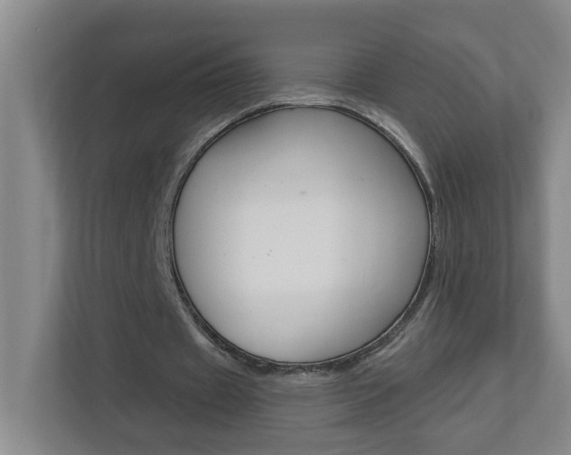 X0000112840433200908211002