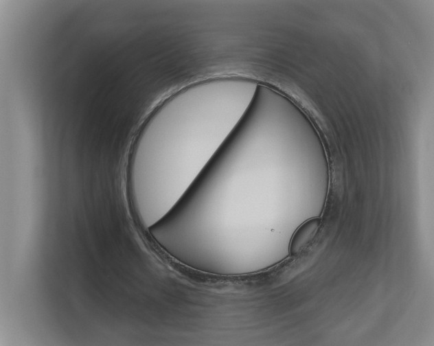 X0000112840434200908211002