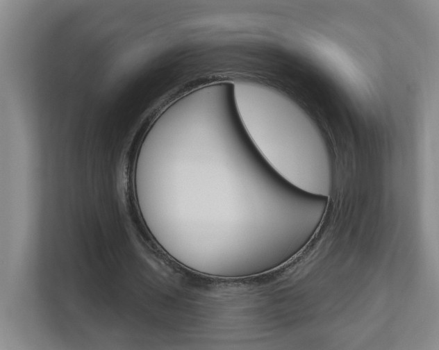 X0000112840435200908211002