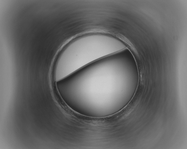 X0000112840436200908211002