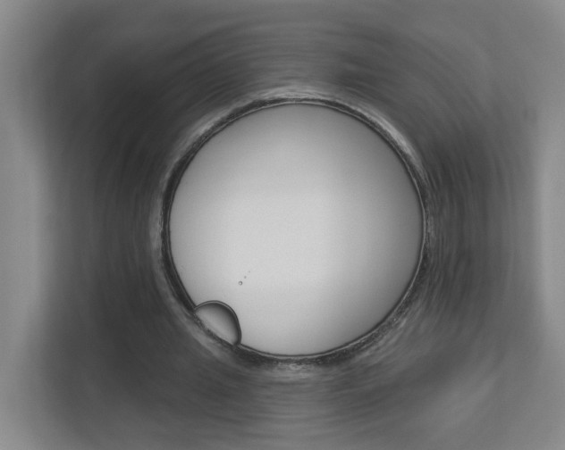 X0000112840437200908211002