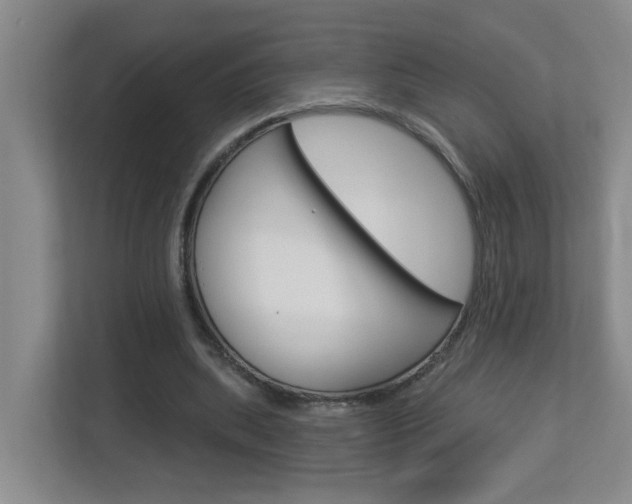 X0000112840439200908211002