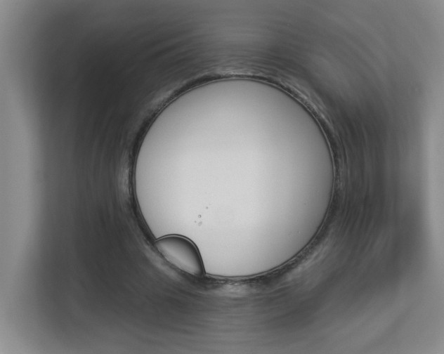 X0000112840441200908211002