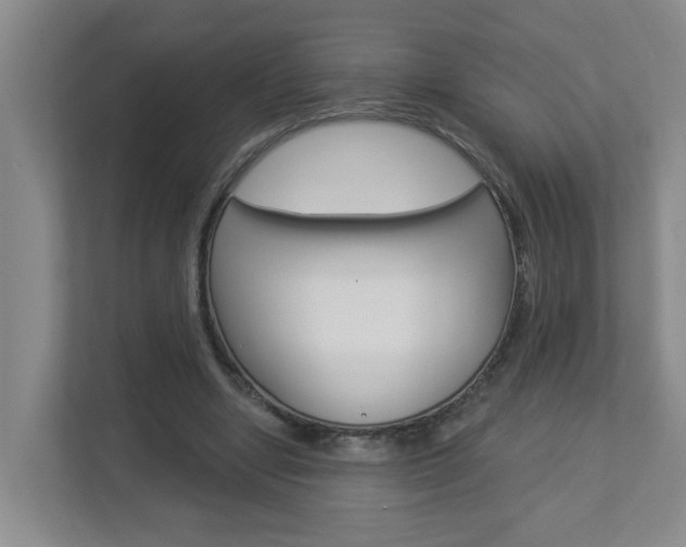 X0000112840442200908211002