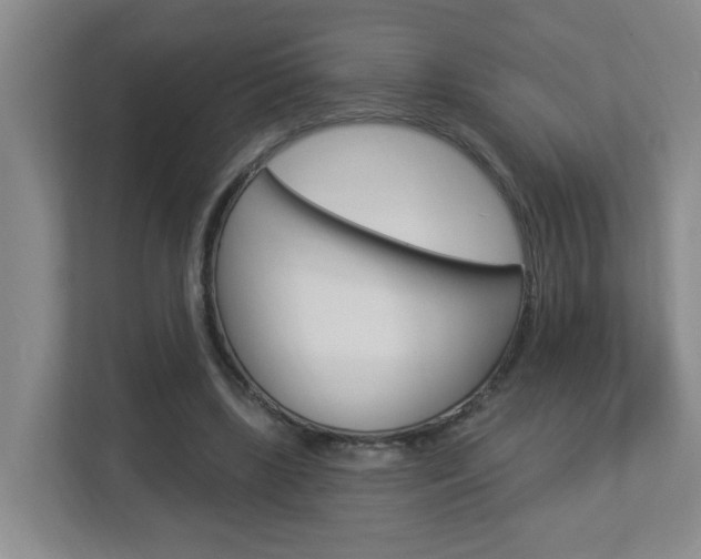 X0000112840443200908211002