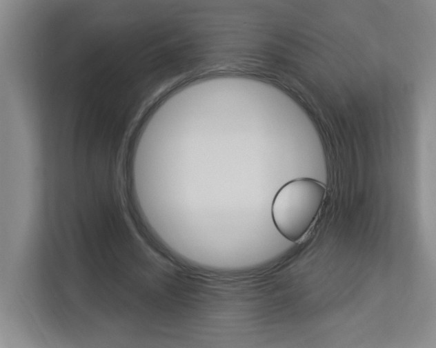X0000112840444200908211002