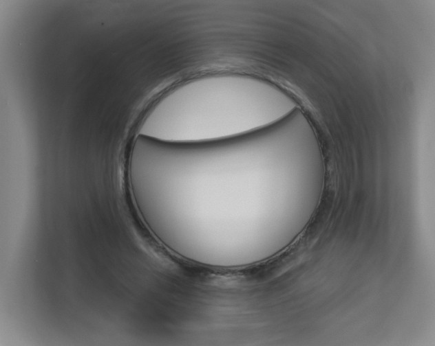 X0000112840446200908211002