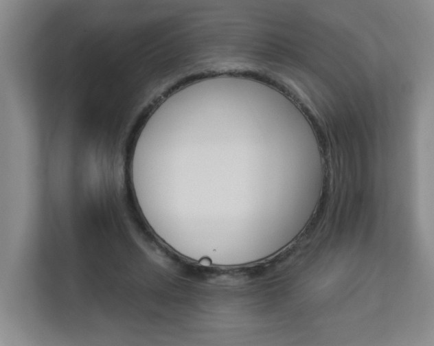 X0000112840447200908211002