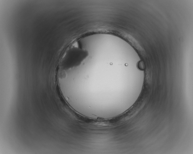 X0000112840449200908211002