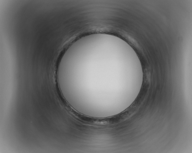 X0000112840450200908211002