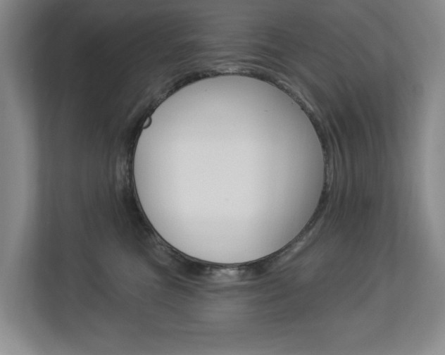 X0000112840473200908211002