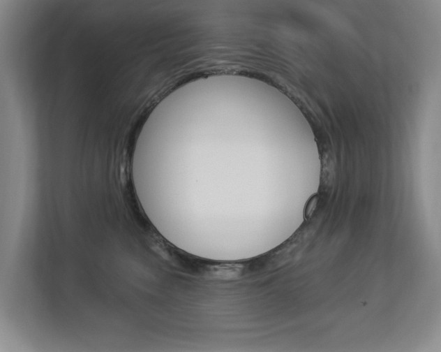 X0000112840474200908211002