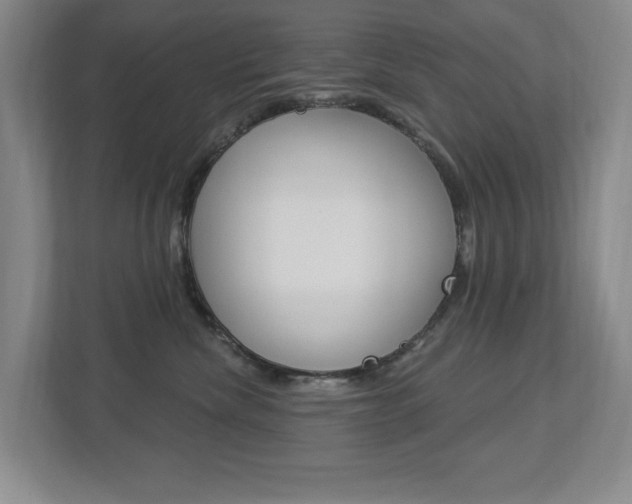 X0000112840476200908211002