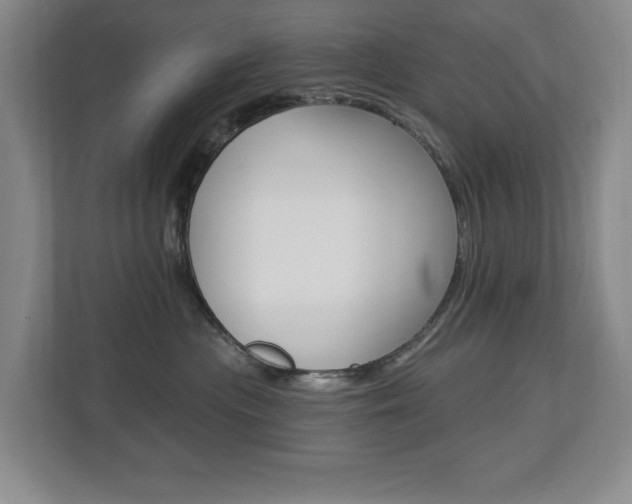 X0000112840477200908211002