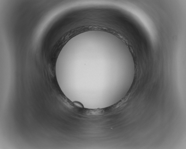 X0000112840479200908211002