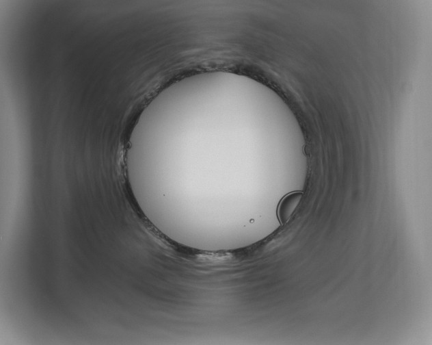 X0000112840480200908211002