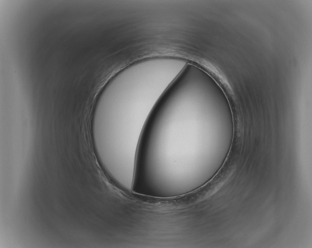 X0000112840481200908211002
