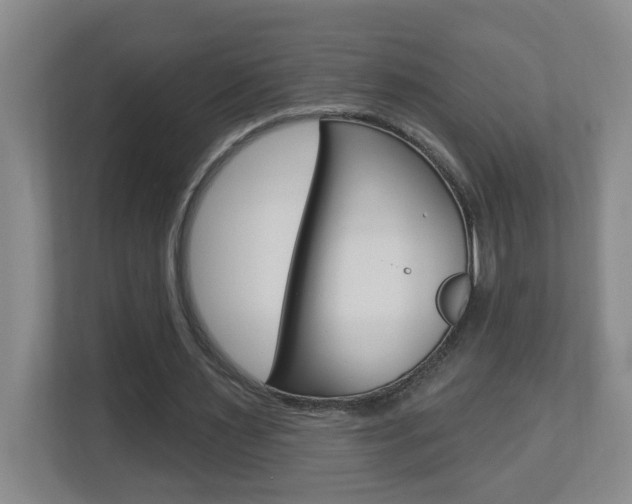 X0000112840483200908211002