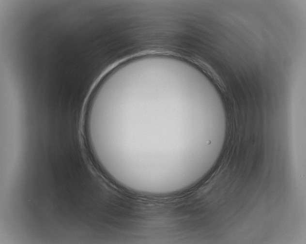 X0000112840484200908211002