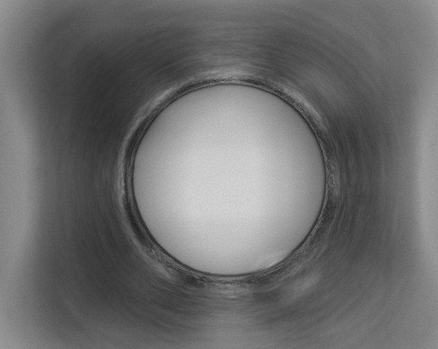 X0000112840486200908211002