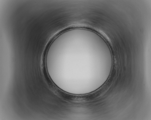 X0000112840487200908211002
