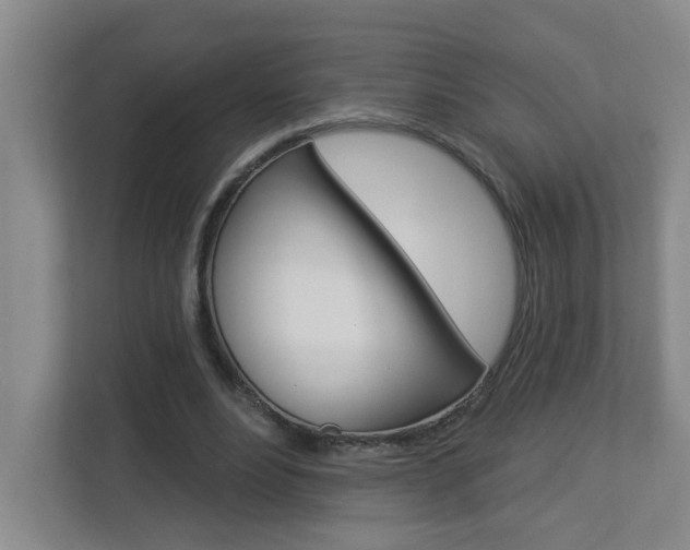 X0000112840488200908211002