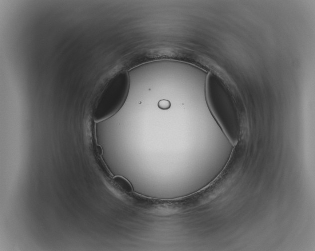 X0000112840489200908211002