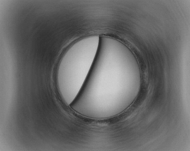 X0000112840491200908211002
